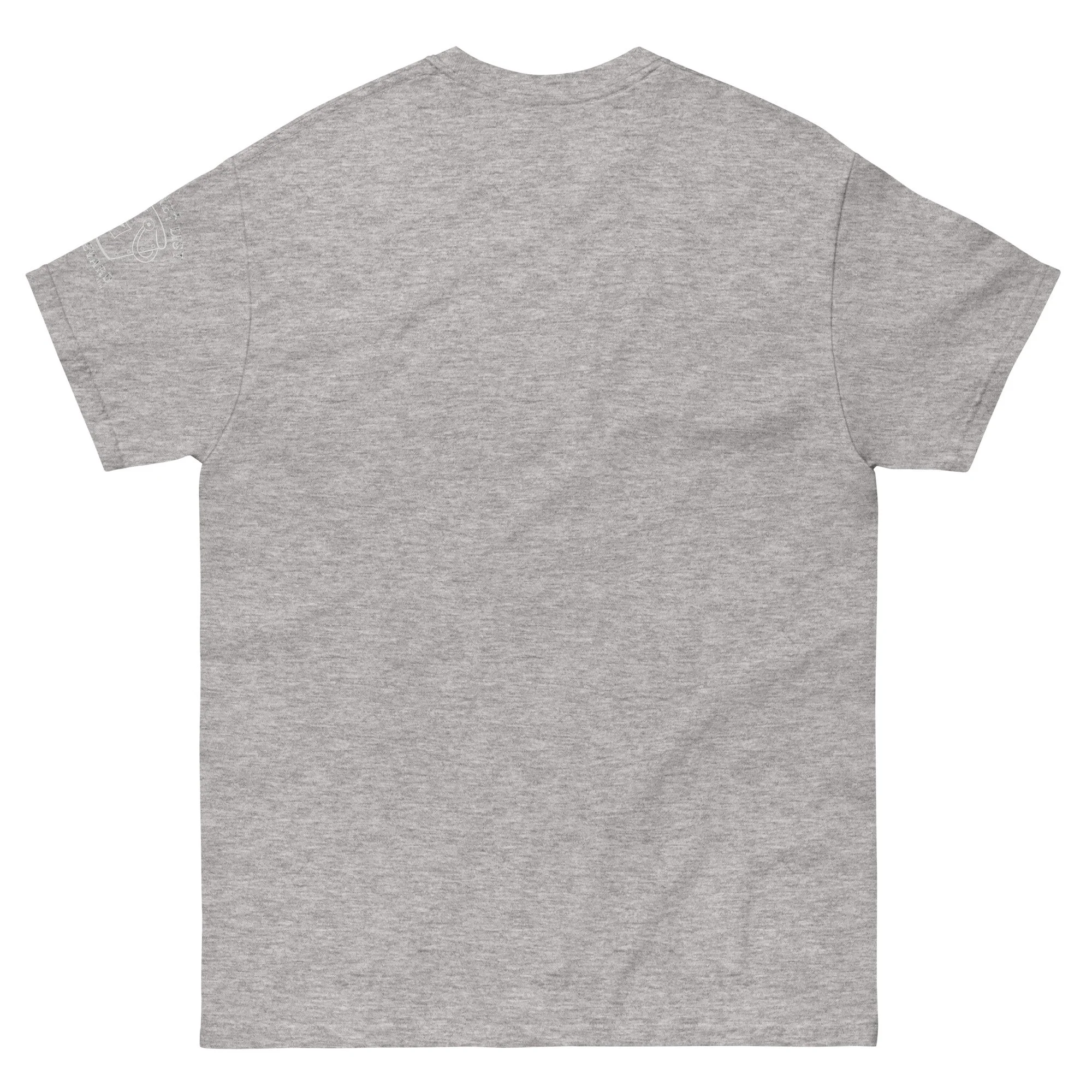 unisex-classic-tee-sport-grey-back-66ec9c08eb611.jpg