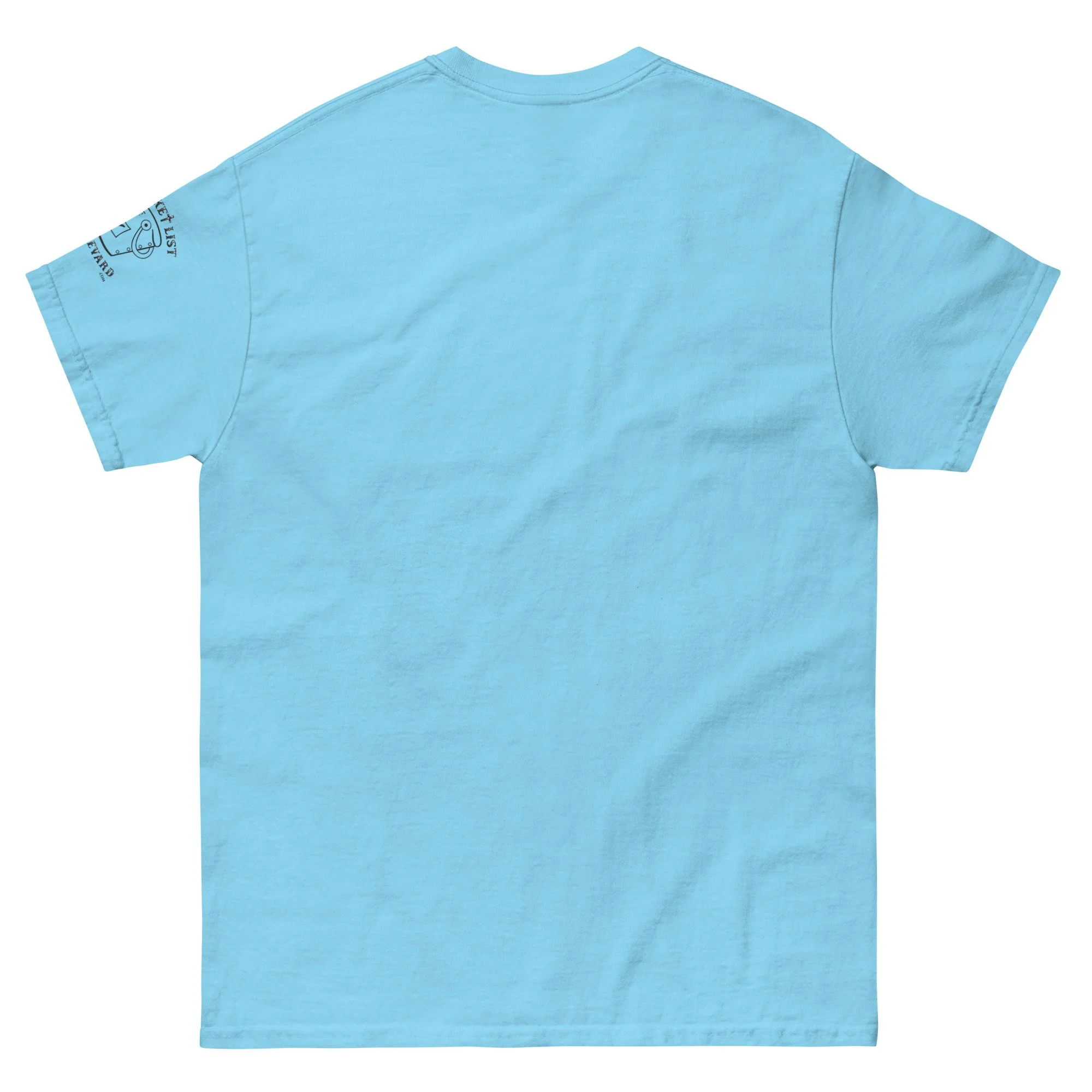 unisex-classic-tee-sky-back-671fa2c3b2f1b.jpg