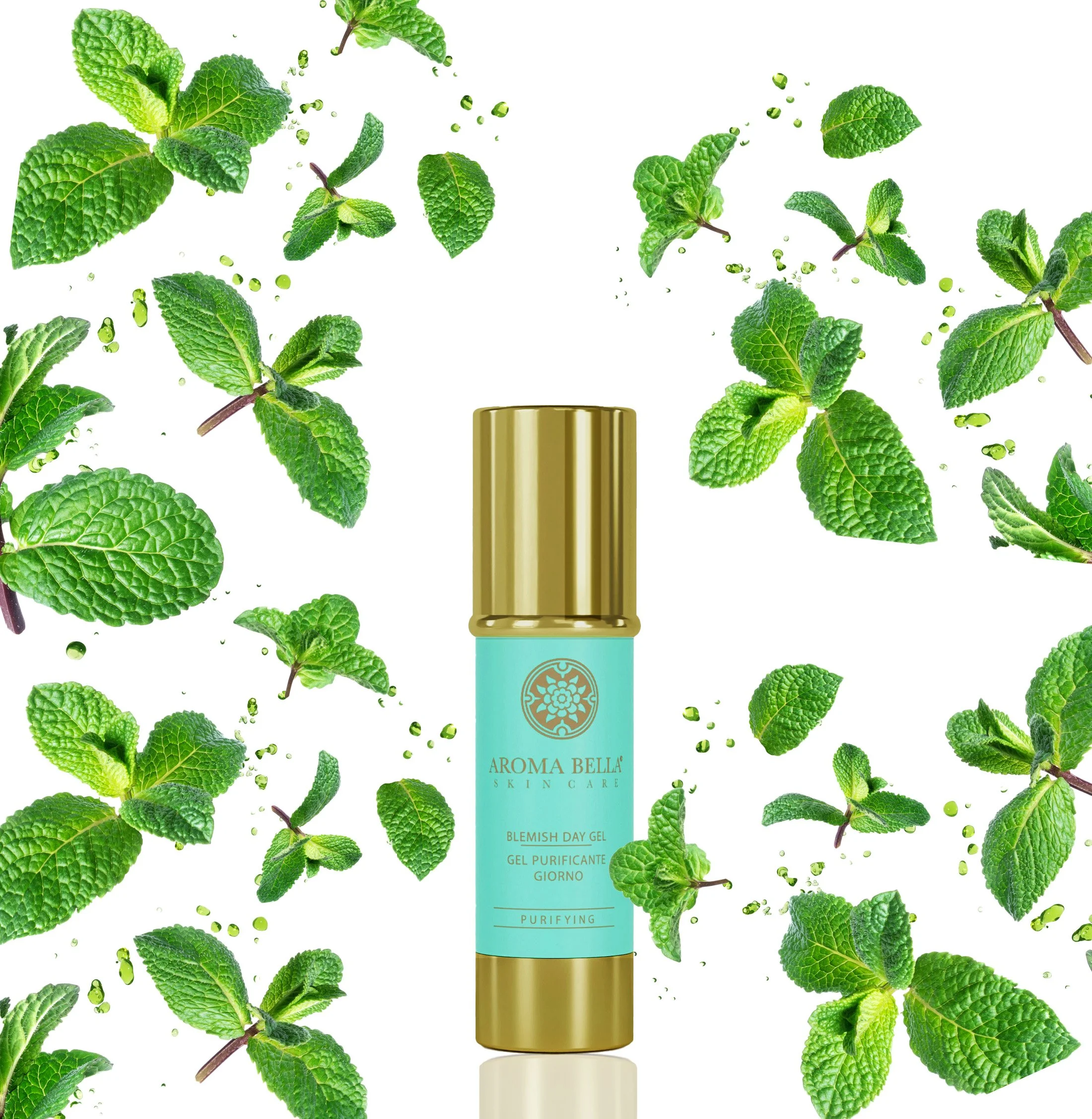 Blemish Day Gel 1oz. (oily, acne, combination)