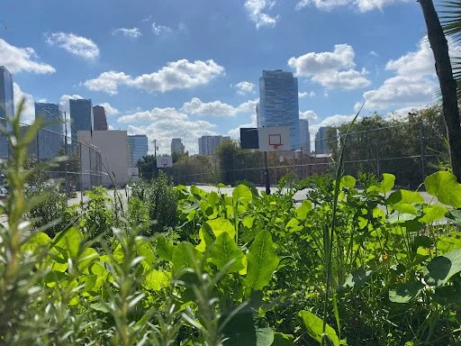 An Immaculate Garden with GrowingGreat