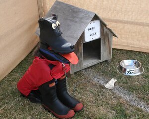 IMG_2893.jpg