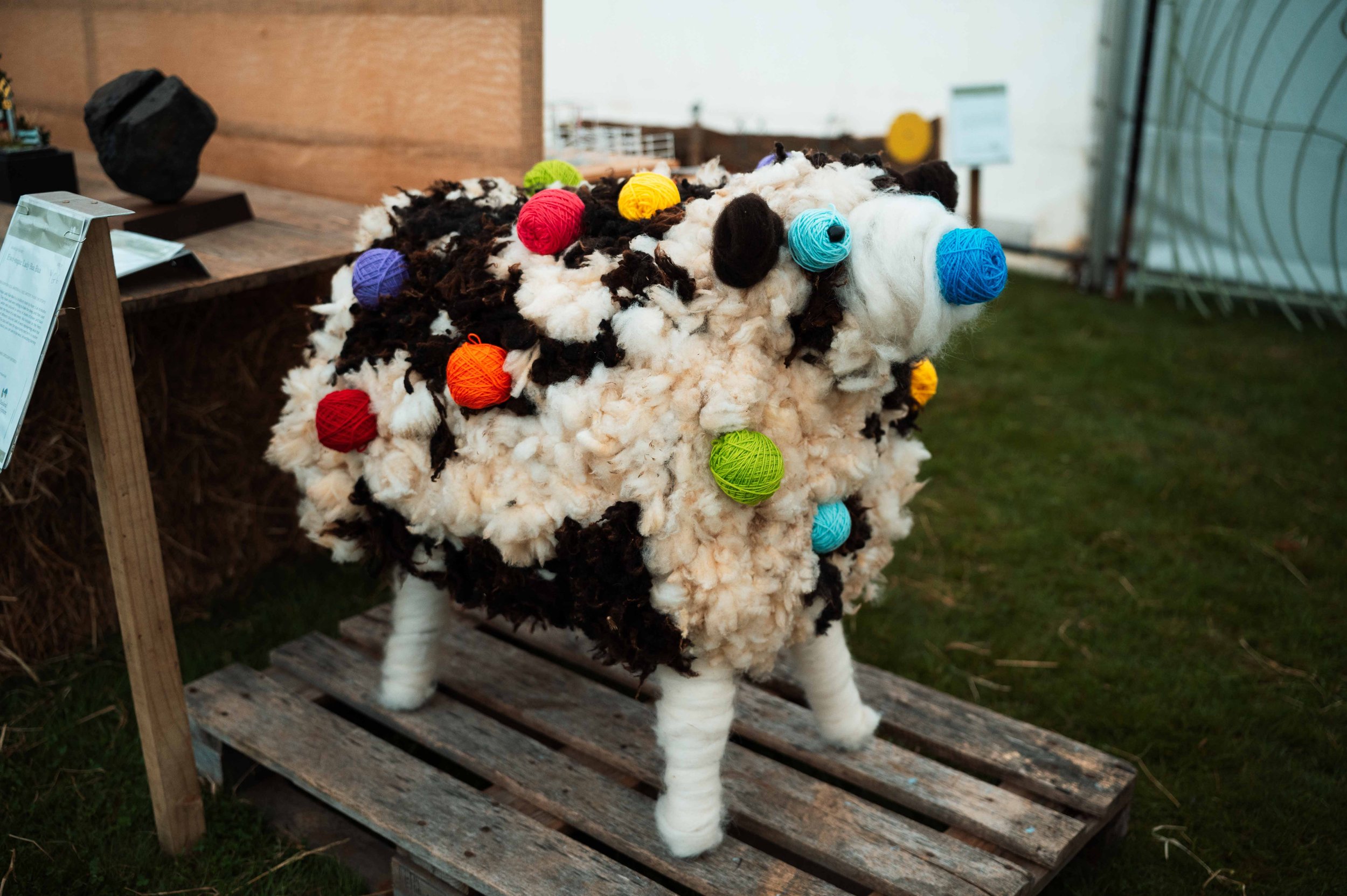 Ewe-nique Lady Baa Baa. Room 3 Year 0-2 Kimbolton School