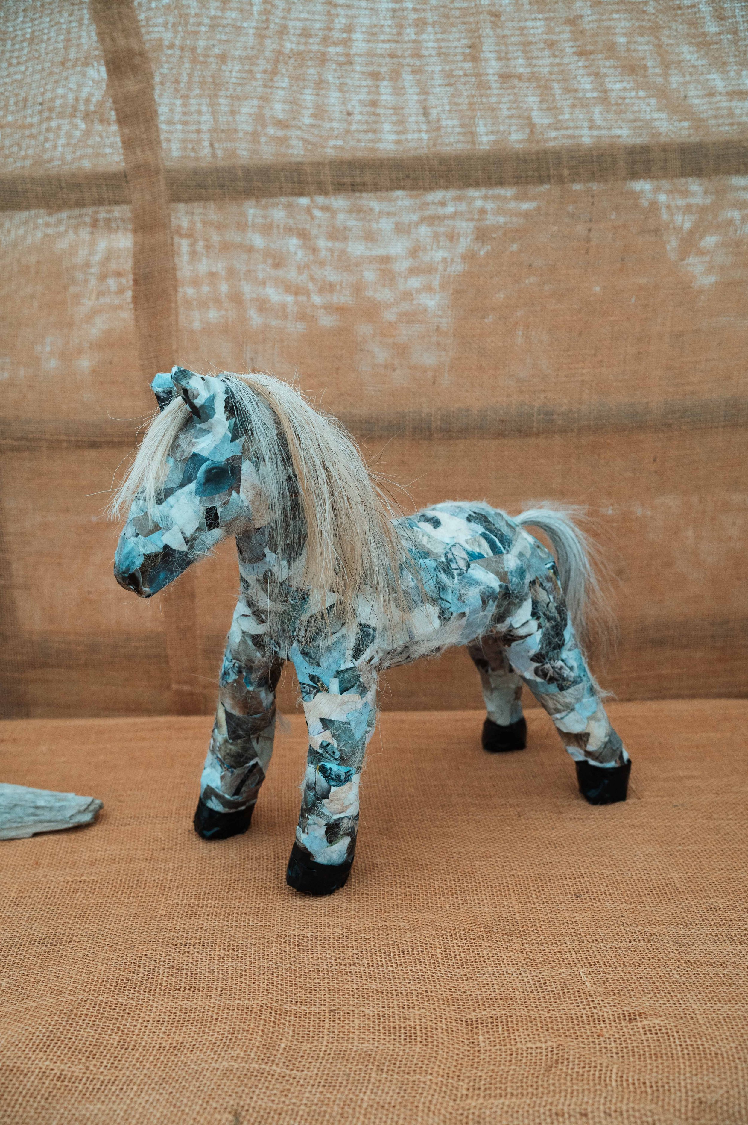 My Pony Ollie. Ashlee-rose. Maher
