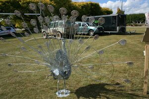 IMG_2914.jpg