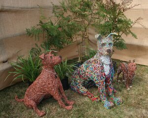 IMG_2927.jpg