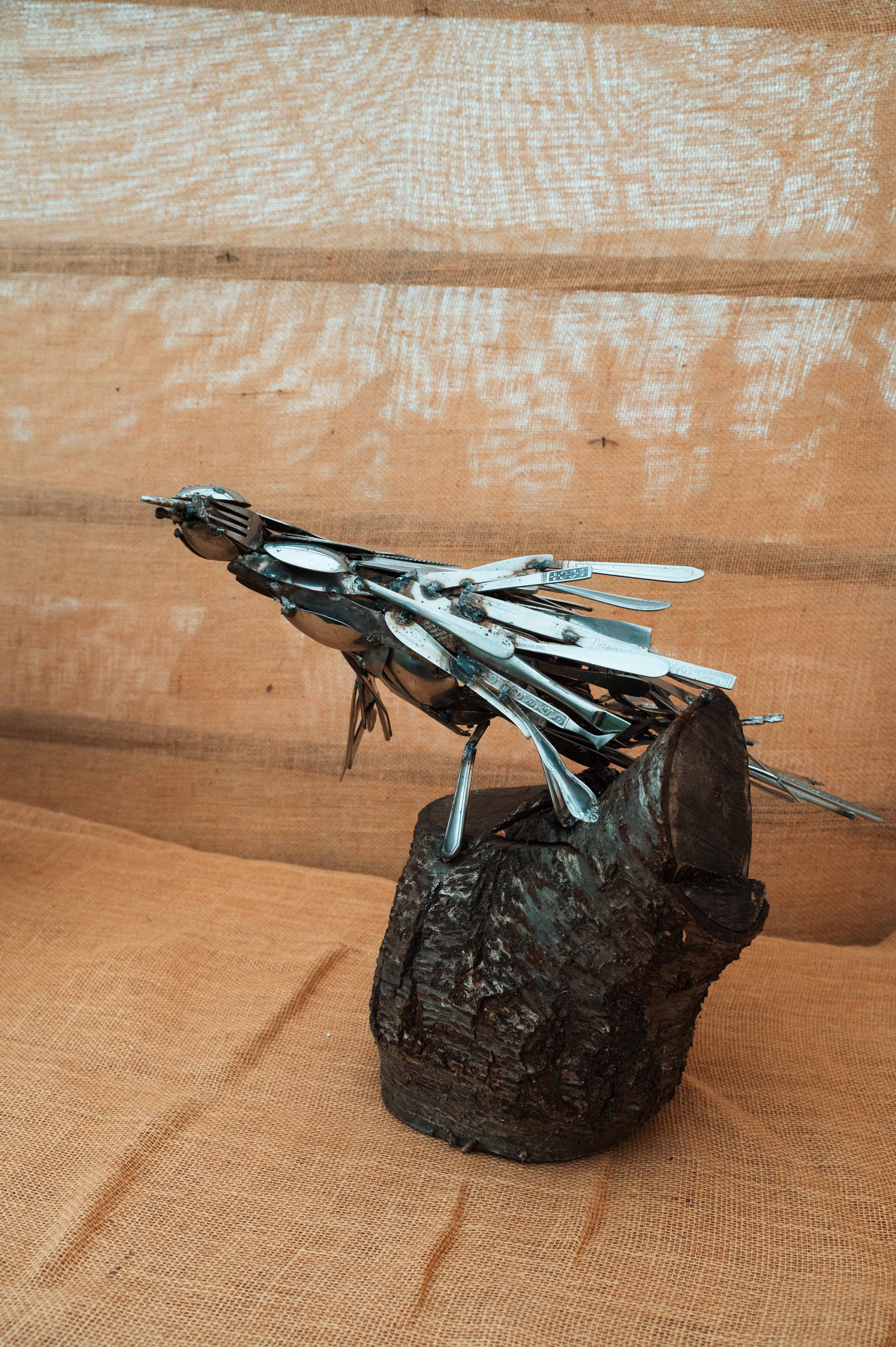 Taking Flight. Liam Burgers