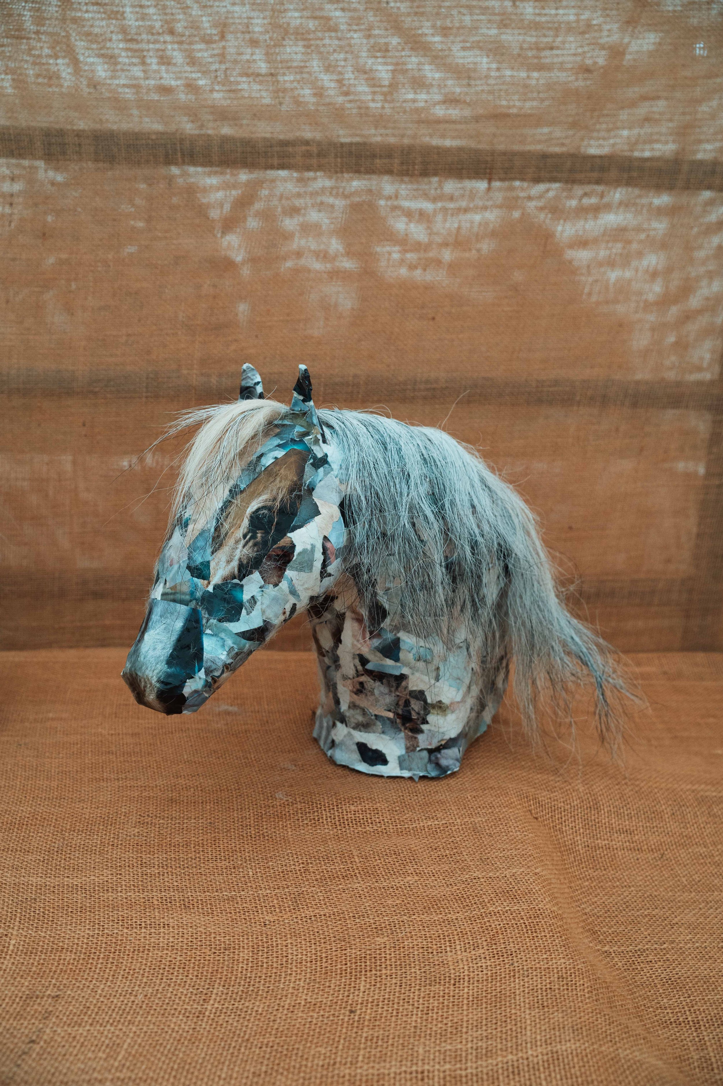 My Pony Molly. Maddison Maher