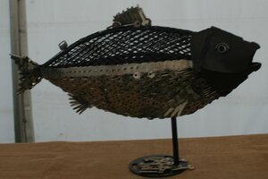 IMG_2934.jpg