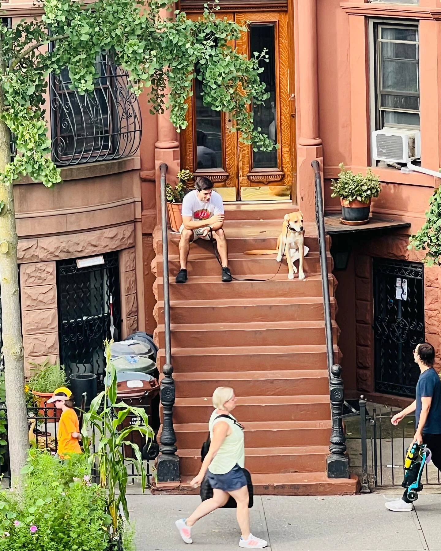 #goodmorning Had to share this cute scene of my #brooklyn stoops this morning. The 🐶 is everything. #brooklynstoop #brooklynstoops #parkslope #dogsrule