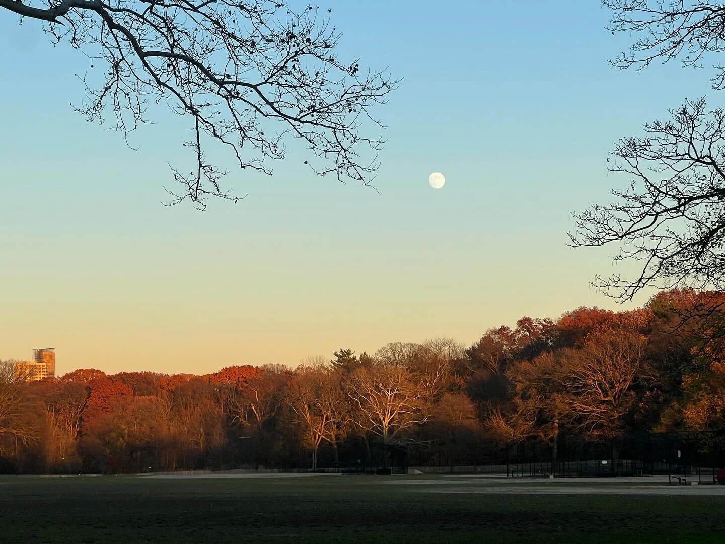 A walk in @prospect_park at dusk and I caught the sun setting in one direction and the moon rising in the other. #natureisbeautiful #astrology #fallcolors