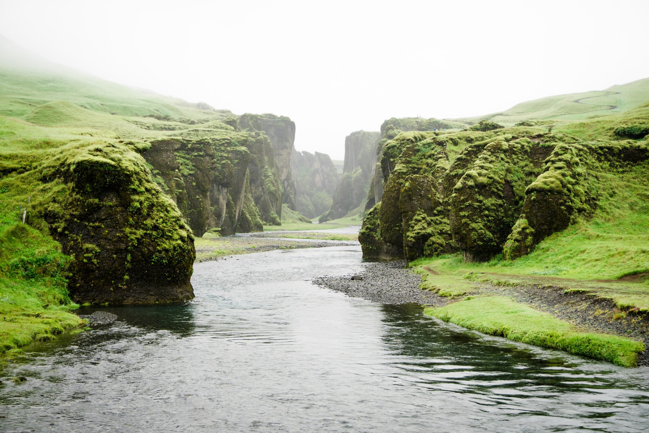 Finding Calm Amidst Chaos: Nature's Soothing Influence on Crisis-Induced Anxiety