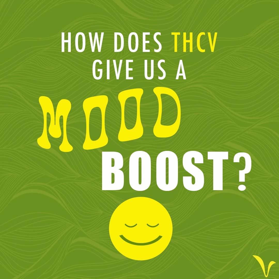 How Does THCV Give You A Mood Boost?