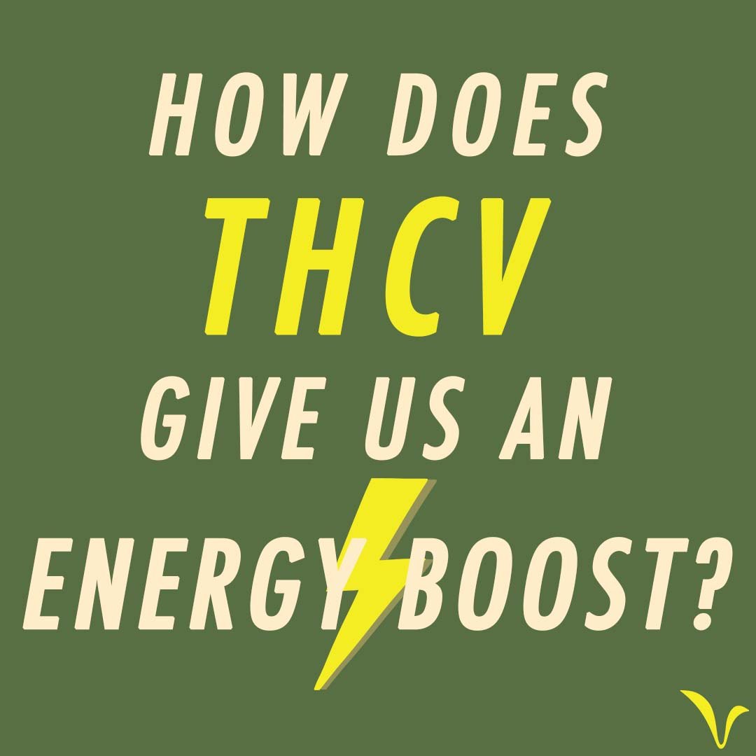 How Does THCV Give Us an Energy Boost?