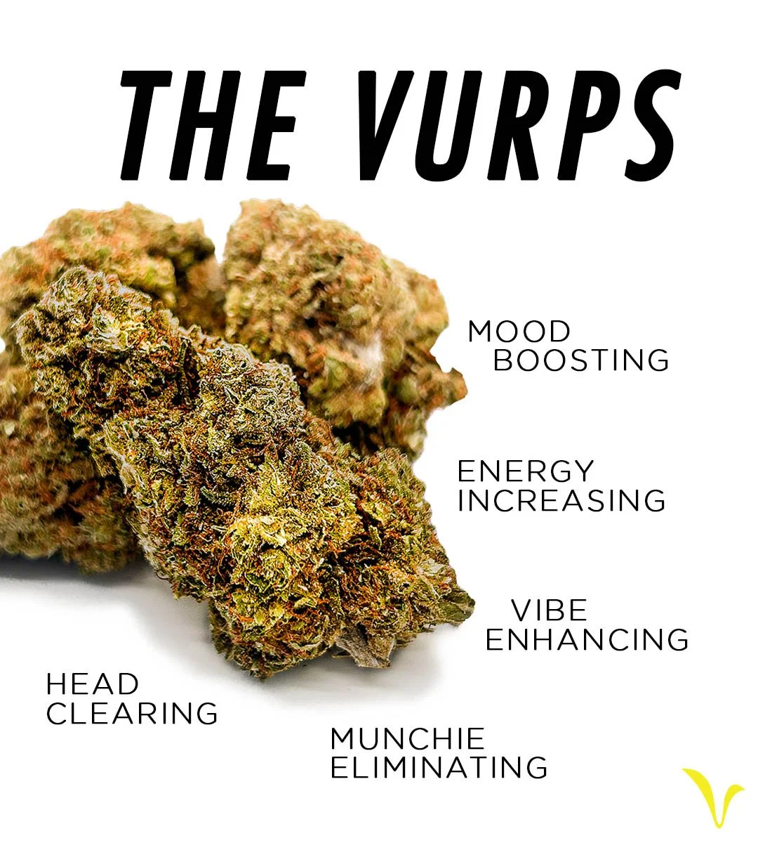 Oregon THCV Flower: Introducing VIVA’s The Vurps