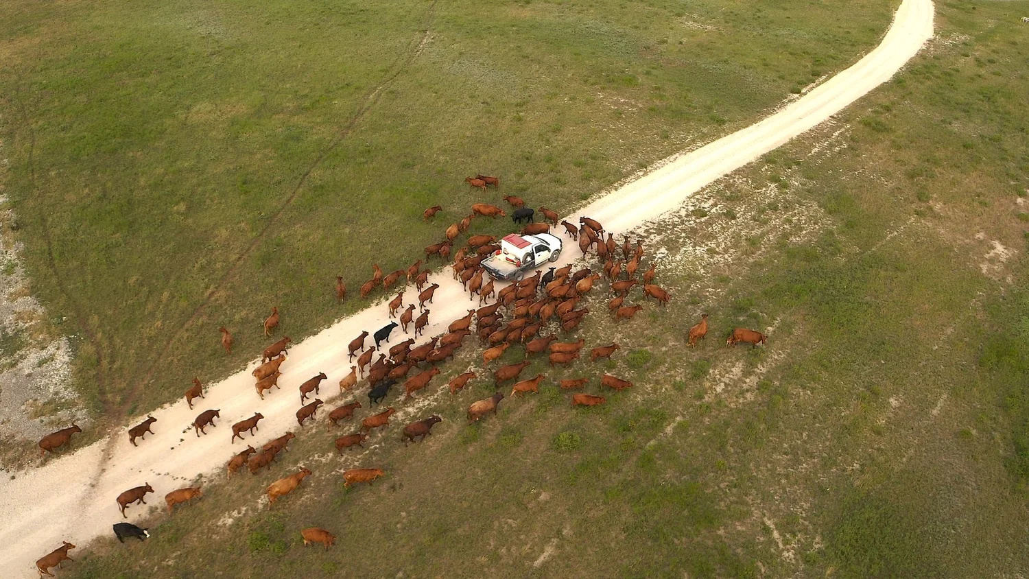 How It Works — Payne Ranch