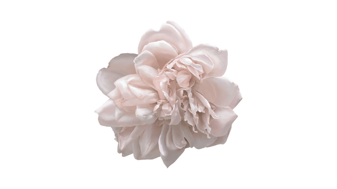 Untitled design (7).png
