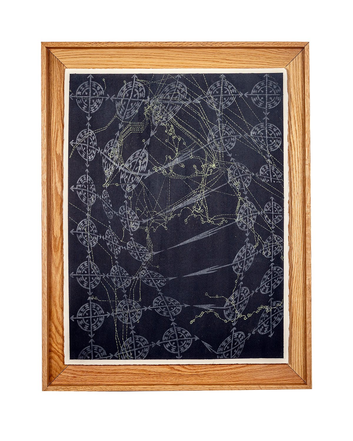 Notes on Broken Circuits: Cephalopod Ink, Graphite, Transfer on Paper