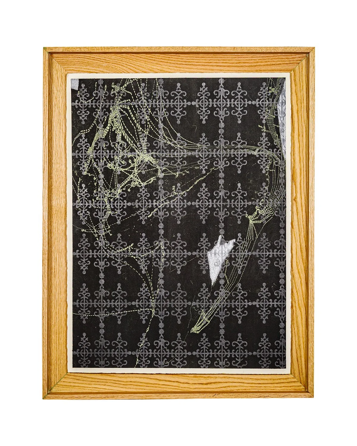 Introducing Errors: Cephalopod Ink, Graphite, Transfer, Color Pencil on Paper