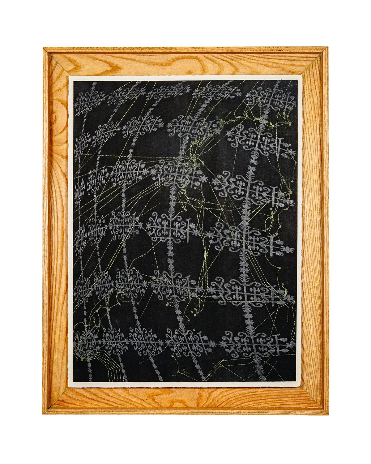 From Vector to Nerve and Back: Cephalopod Ink, Graphite, Transfer on Paper