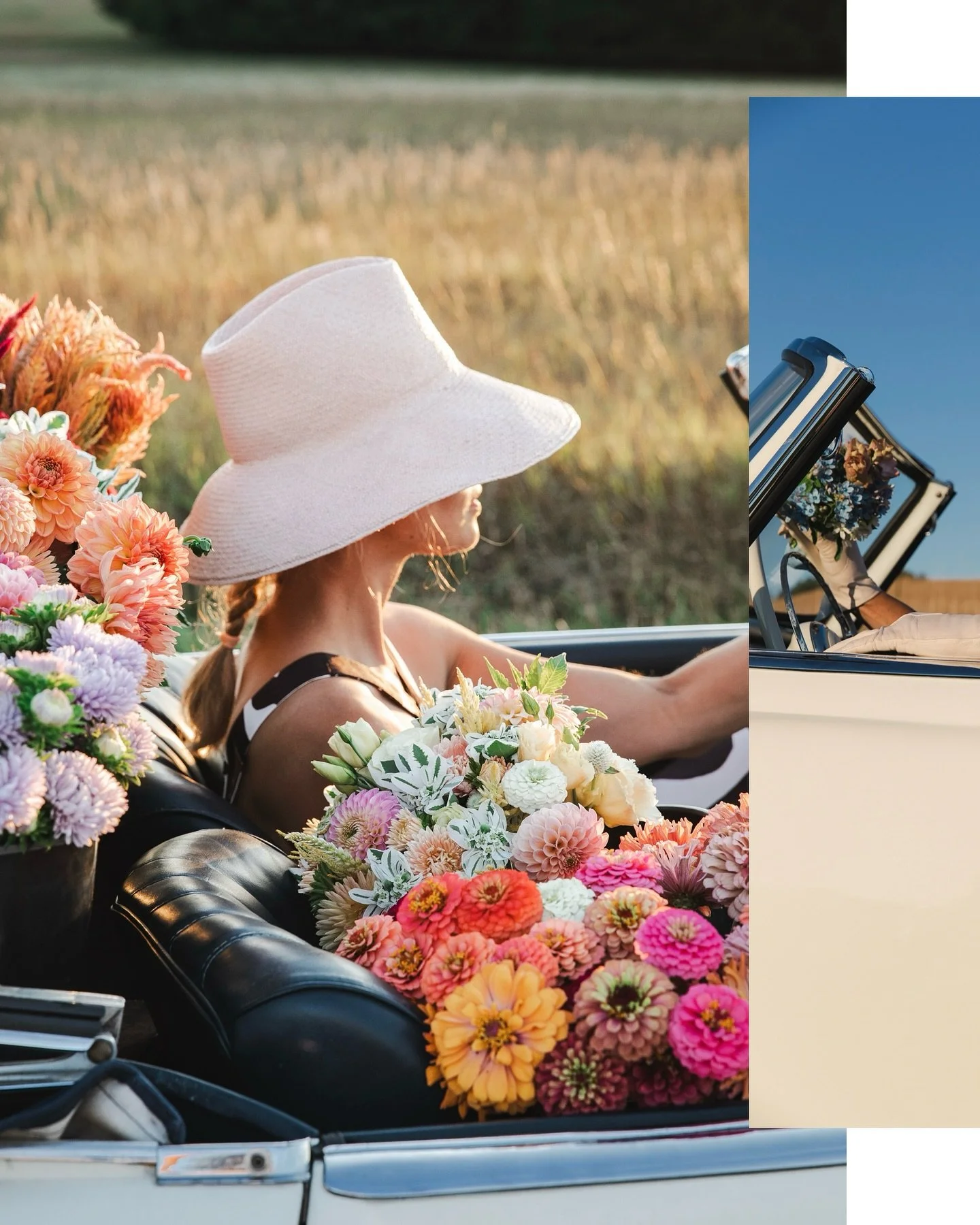 Who, us? Would @svenjajewels and I spend a year planning for our creative vision, grow flowers specifically for it, and painstakingly time it (with a little luck✨) to have it all come together on one of the last magnificent summer evenings?

Yes, of 