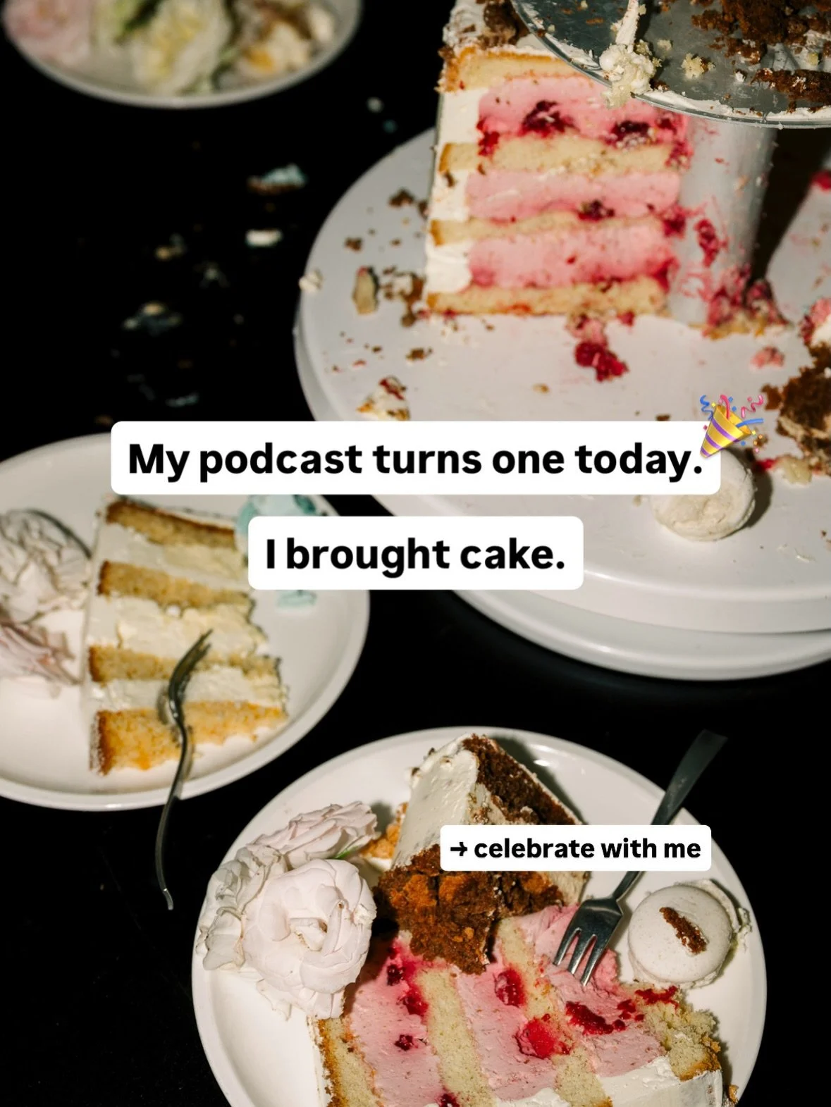 One year ago, I hit publish on the first episode of The Vignette Effect. Without knowing what would happen, I committed to releasing an episode every week for a year, just to see what might unfold.

I knew I wanted it to be a place to talk about bran