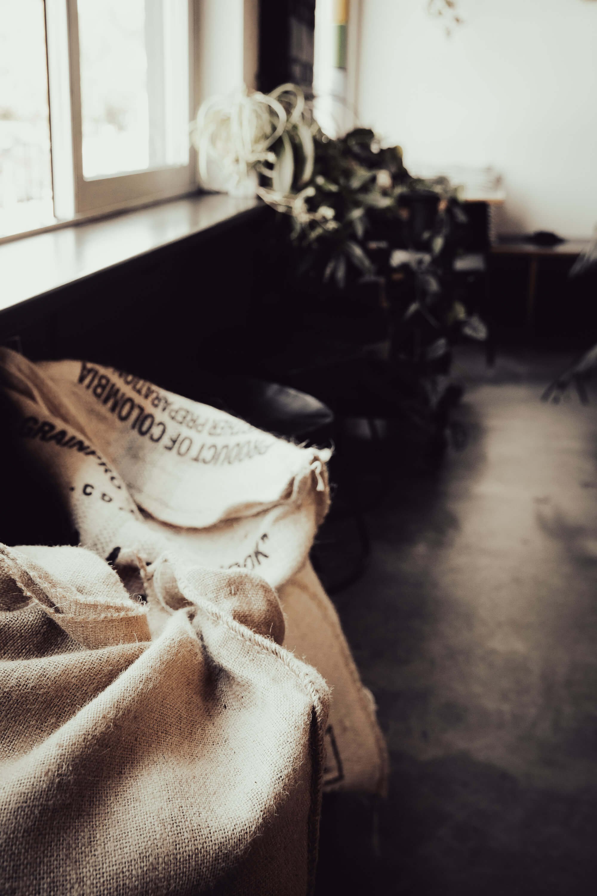 imported-coffe-beans-cafe-image.jpg