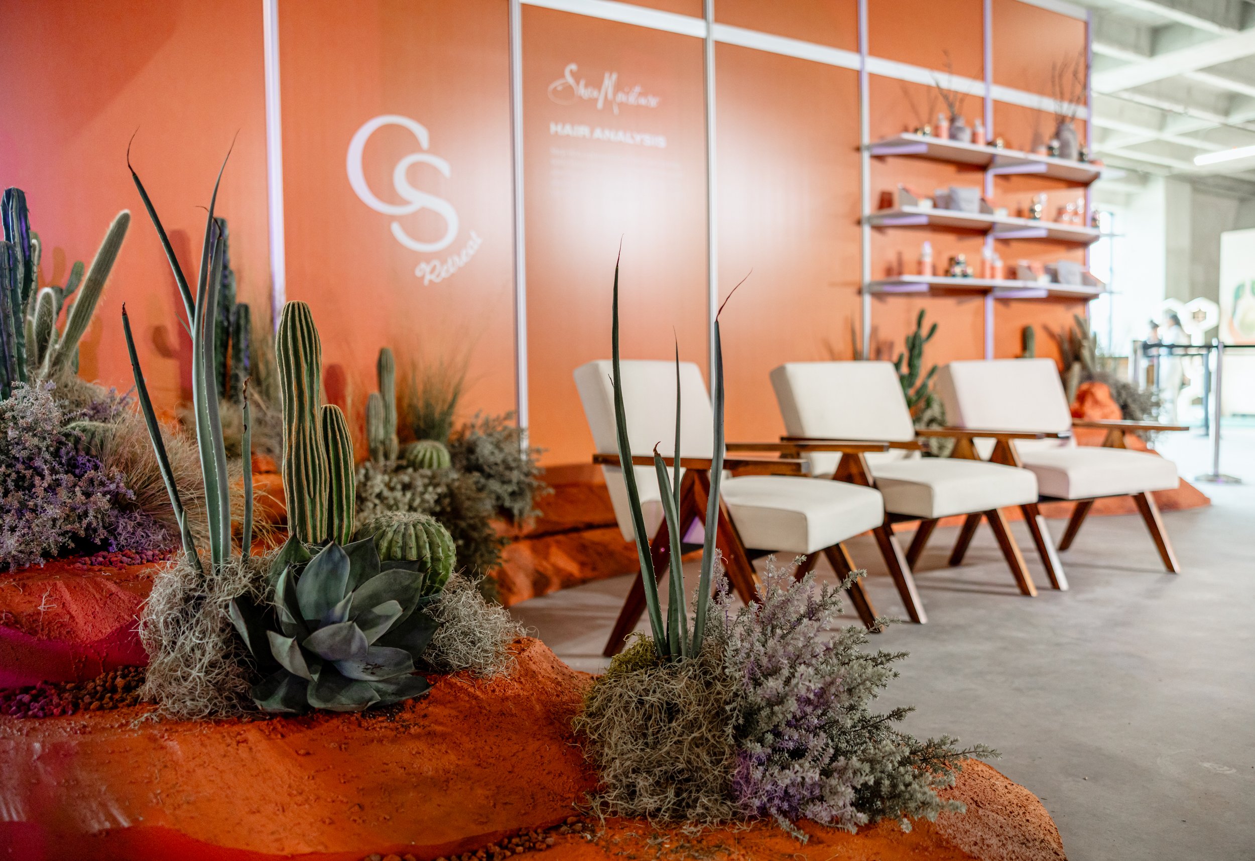 Beautycon | Shea Moisture