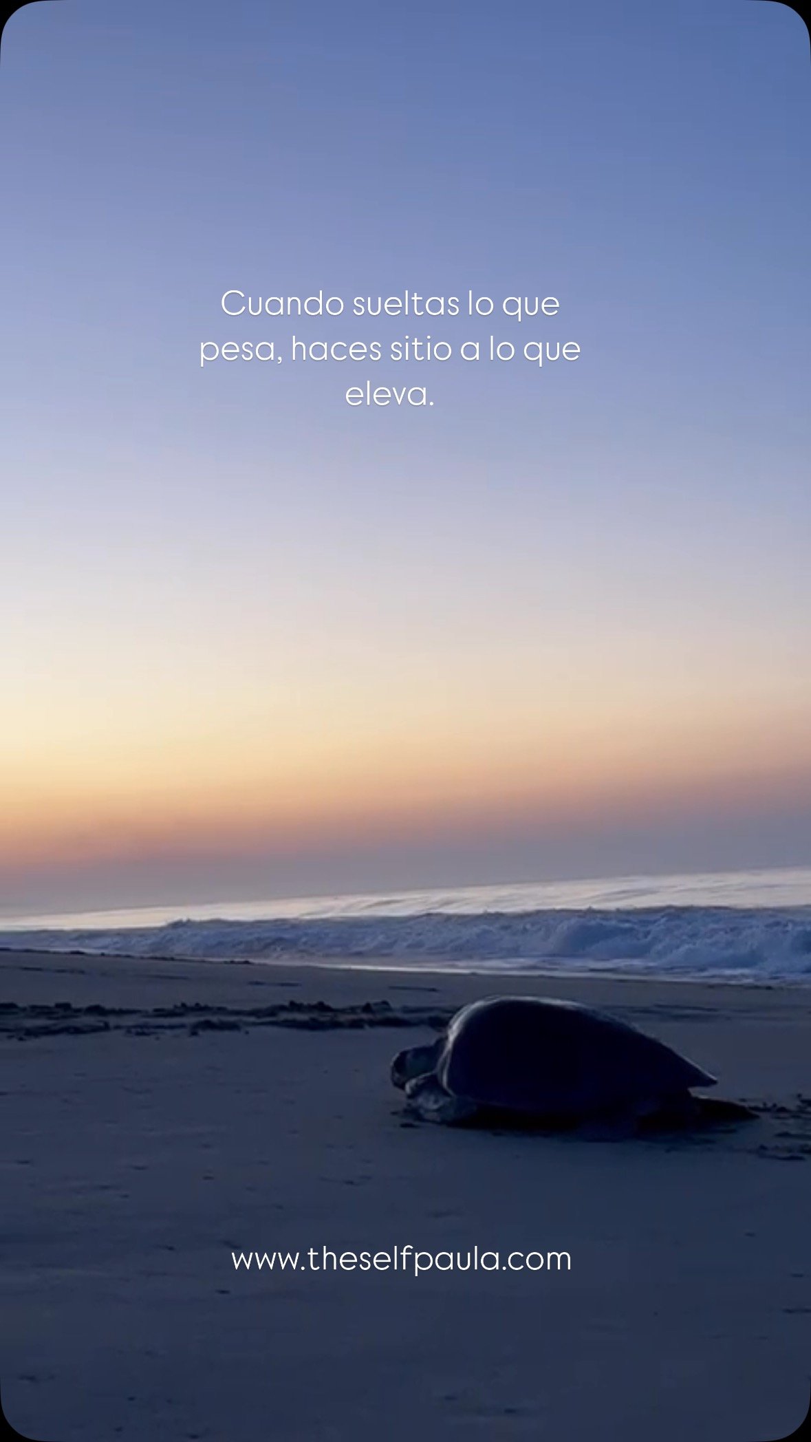Soltar no siempre es fácil. A veces se siente como una pequeña muerte, como despedirse de algo que, aunque ya no encaje, fue importante en su momento. Pero soltar es también un acto de amor propio, un gesto de confianza en la vid