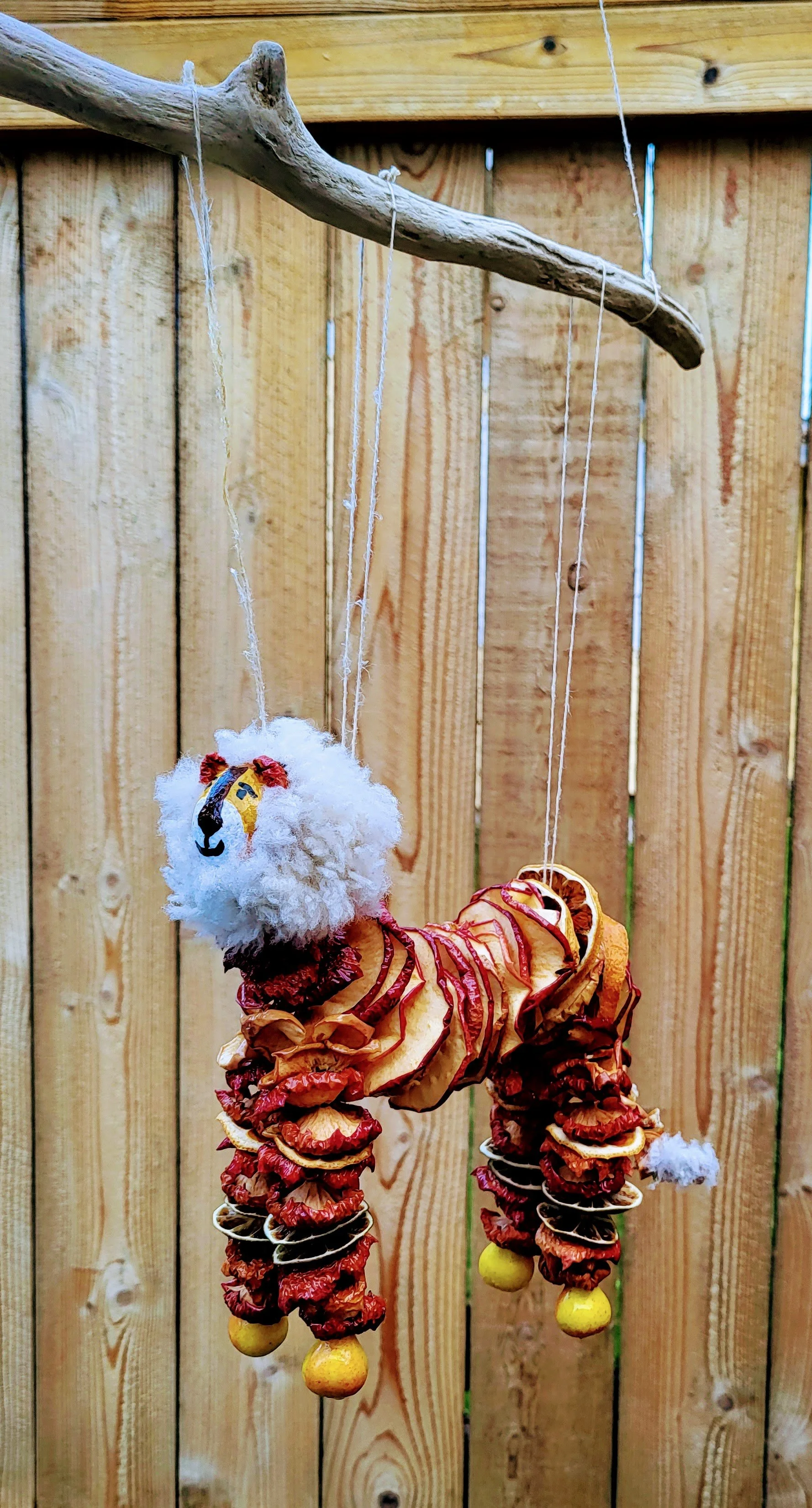 20231223_153252.jpg