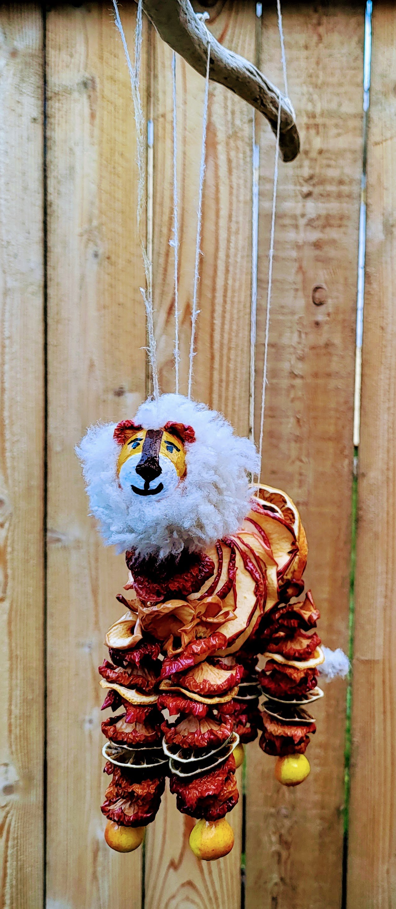 20231223_153255.jpg