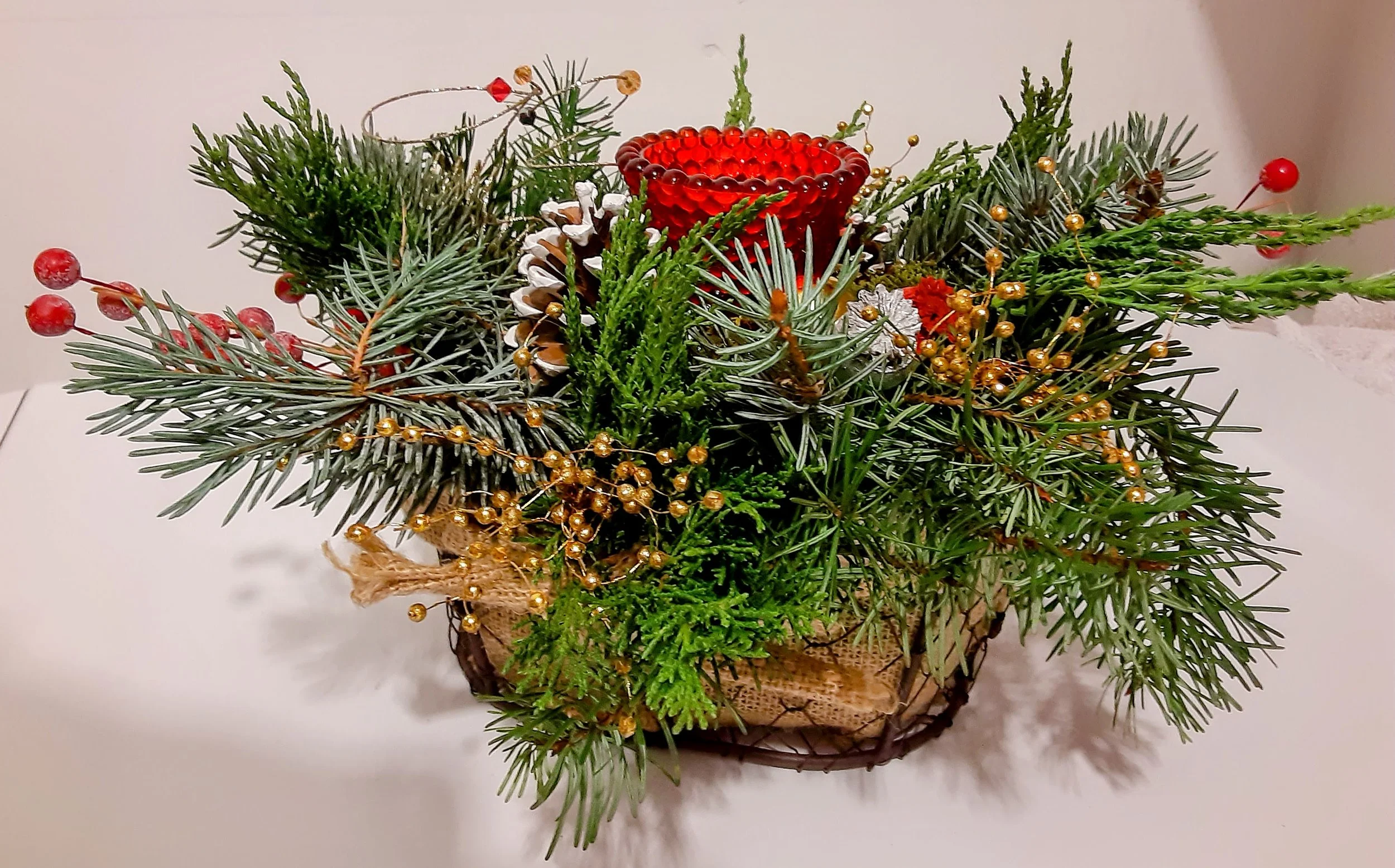 20201220_164432-EDIT.jpg