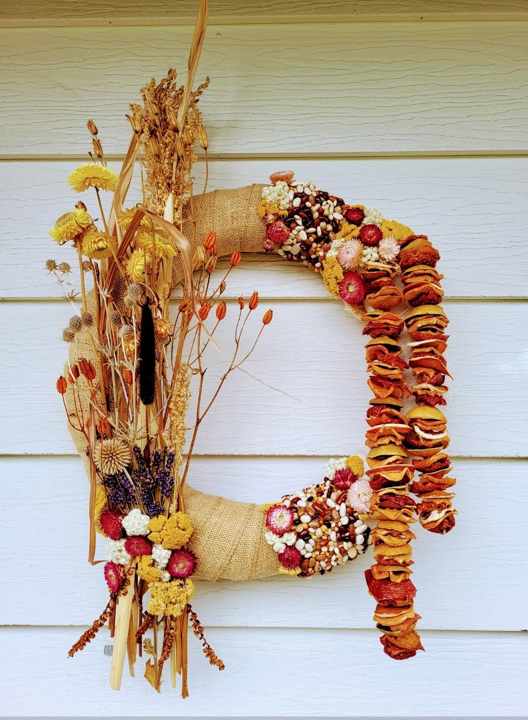 Fall Colors