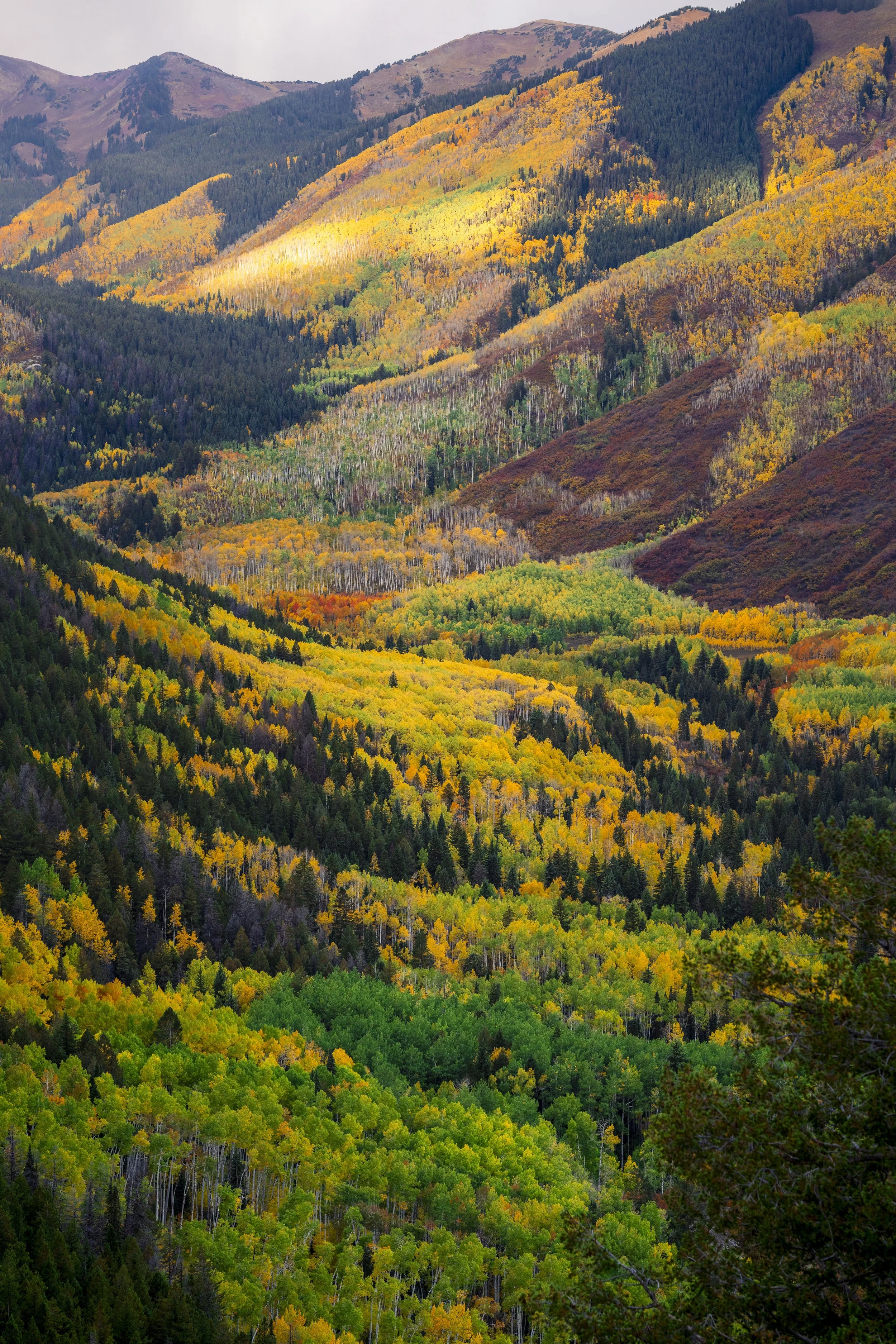 Morning sunlight creeps into the valley full of fall color