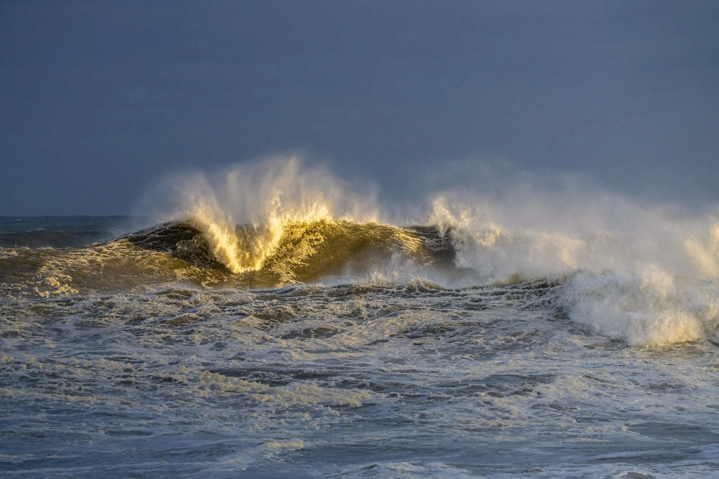 DSC07580.jpg