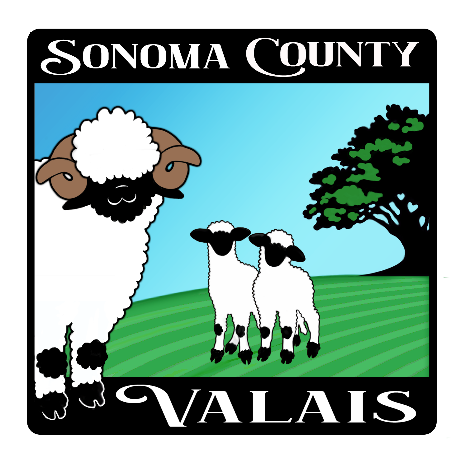 Sonoma County Valais