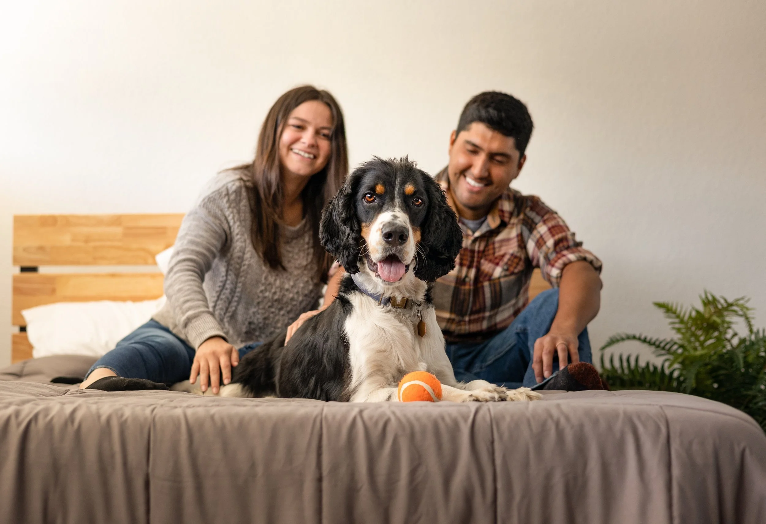 Hug Your Hound-101.jpg