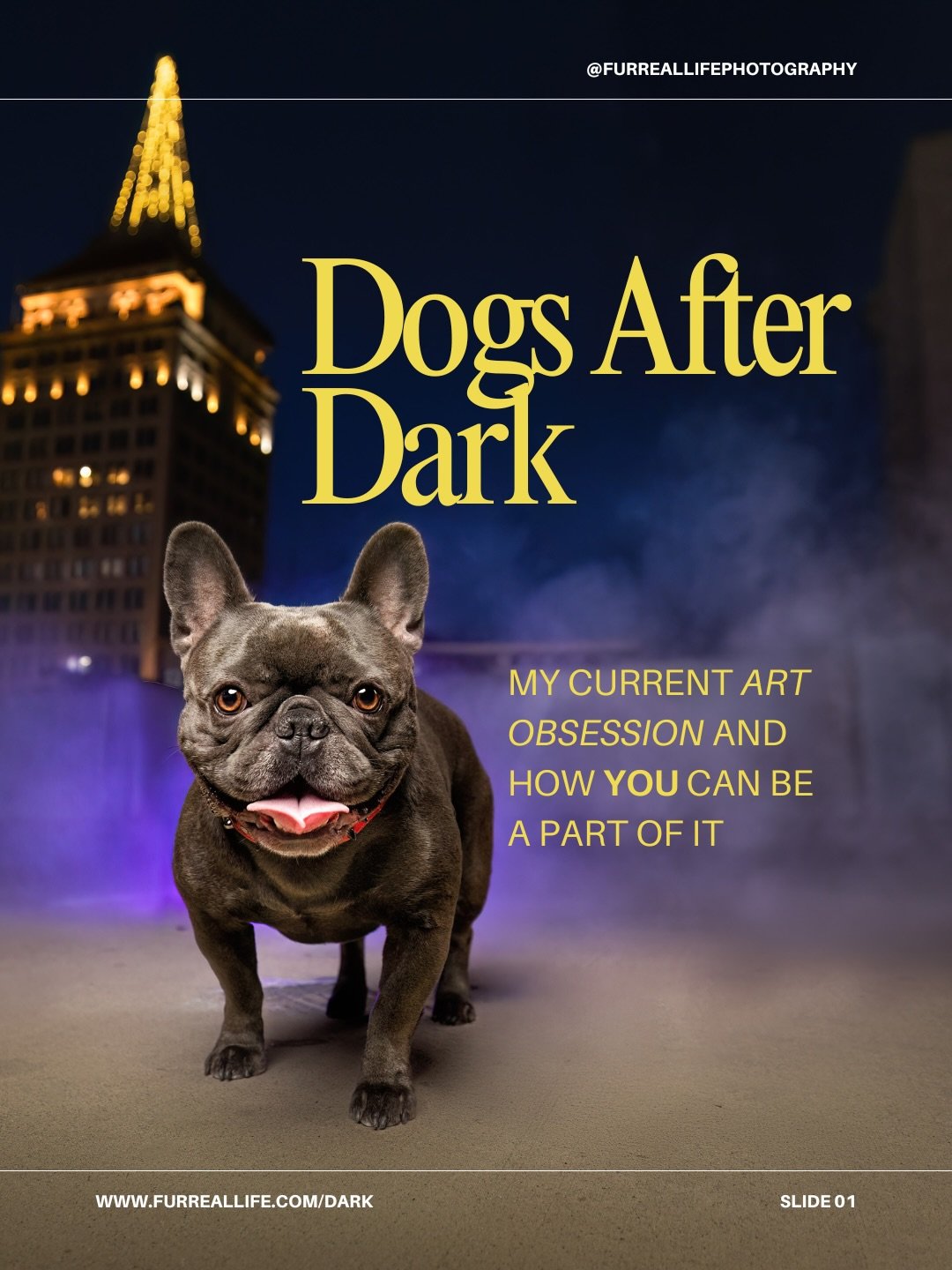 Attention Fresno and Clovis pet parents&mdash;this one&rsquo;s for you 😊

Dogs After Dark is for those who want something different for their dog.
 If you&rsquo;re drawn to city lights, night glow, neon signs, and images that feel bold instead of so
