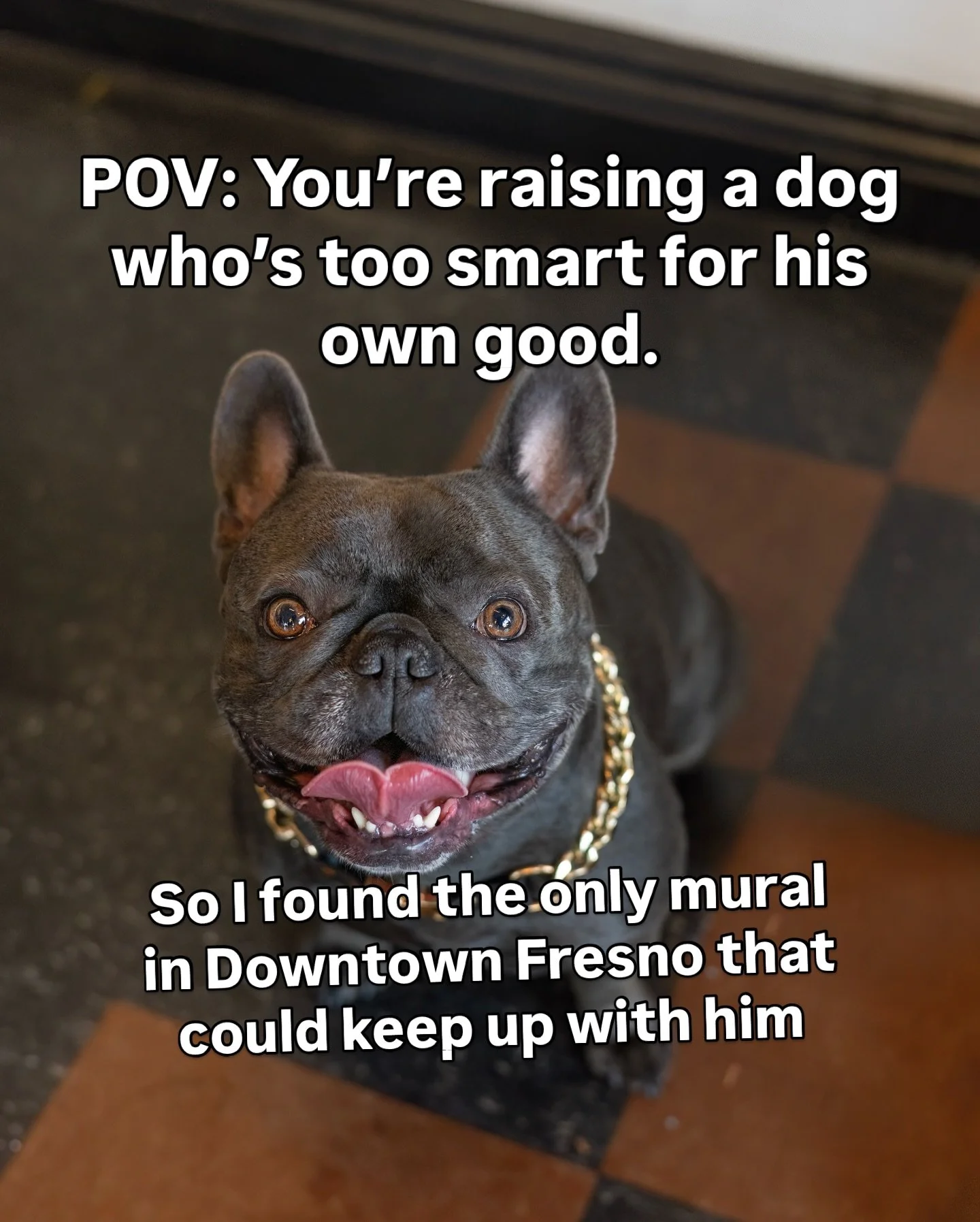 Every session starts with a planning call 📱 

I want to know your dog. Not just their name and breed &mdash; but their personality, their quirks, what makes them them. The thing you love most about them that&rsquo;s also the thing that drives you a 