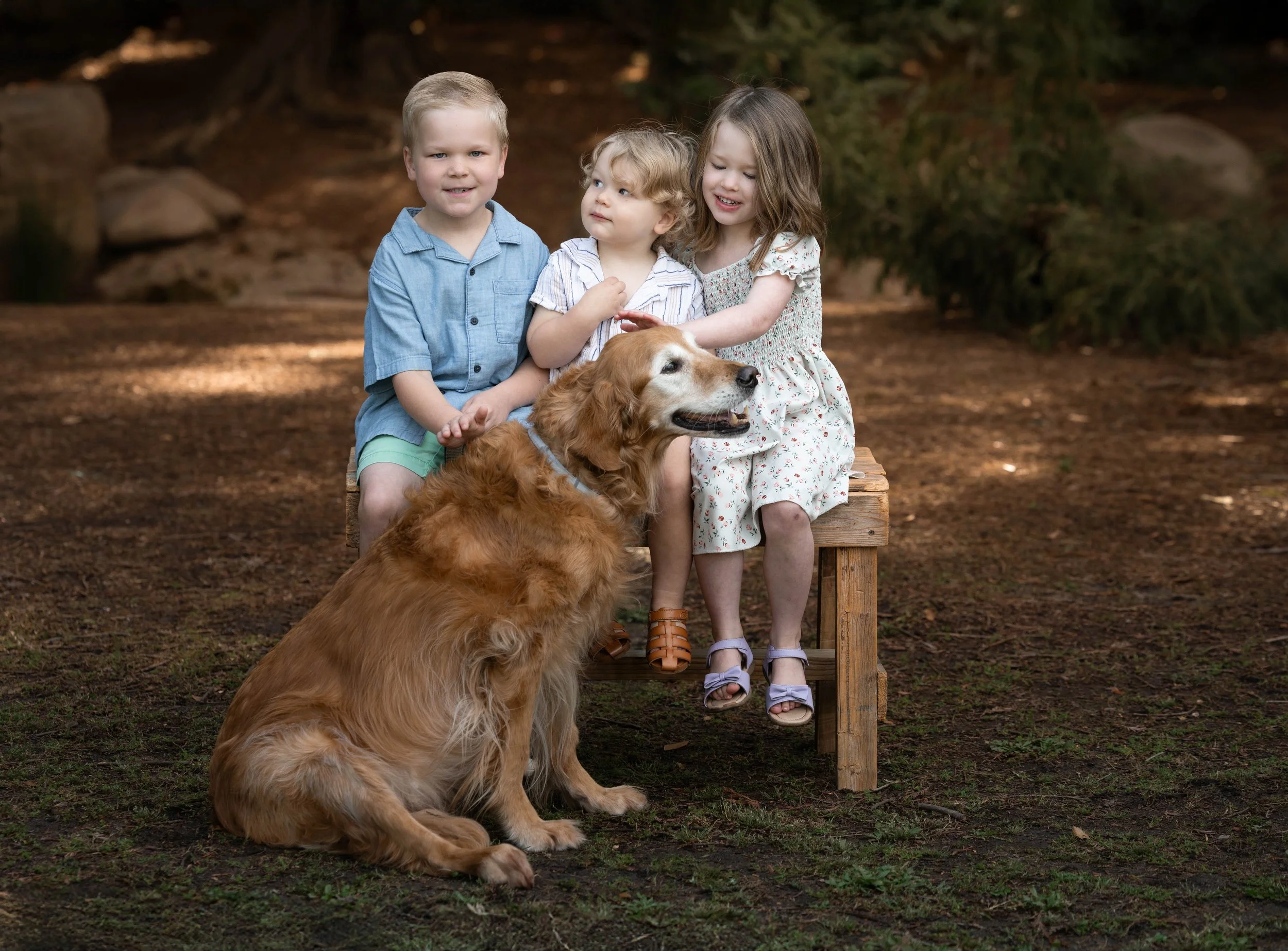 kids-and-senior-dog-photography-central-valley.jpeg