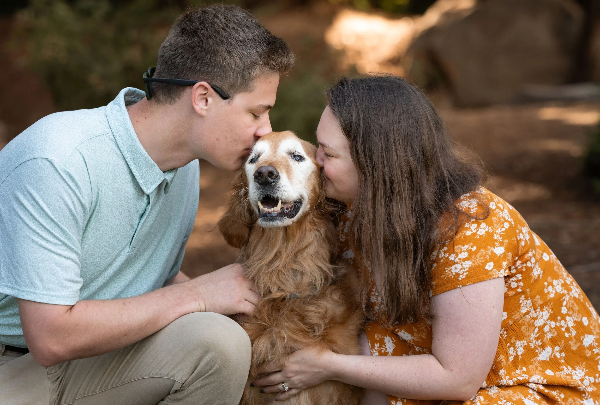 senior-golden-retriever-family-photo-session-clovis-ca.jpeg