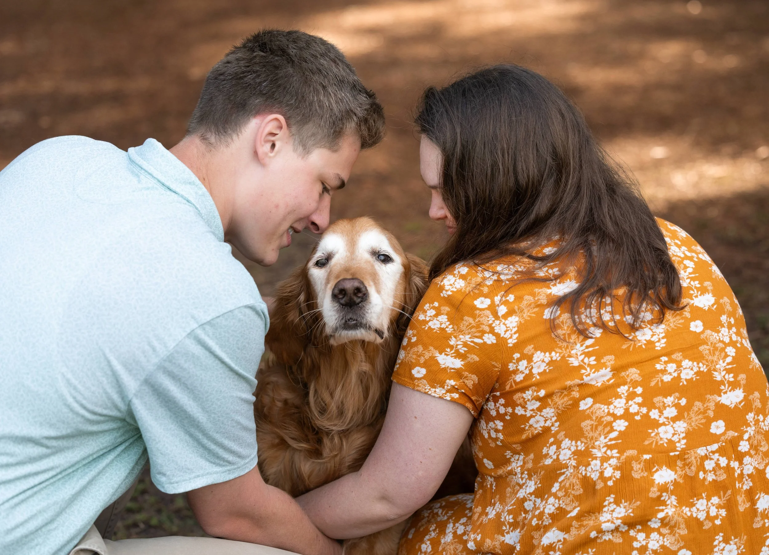 senior-golden-retriever-photo-session-clovis-ca.jpeg