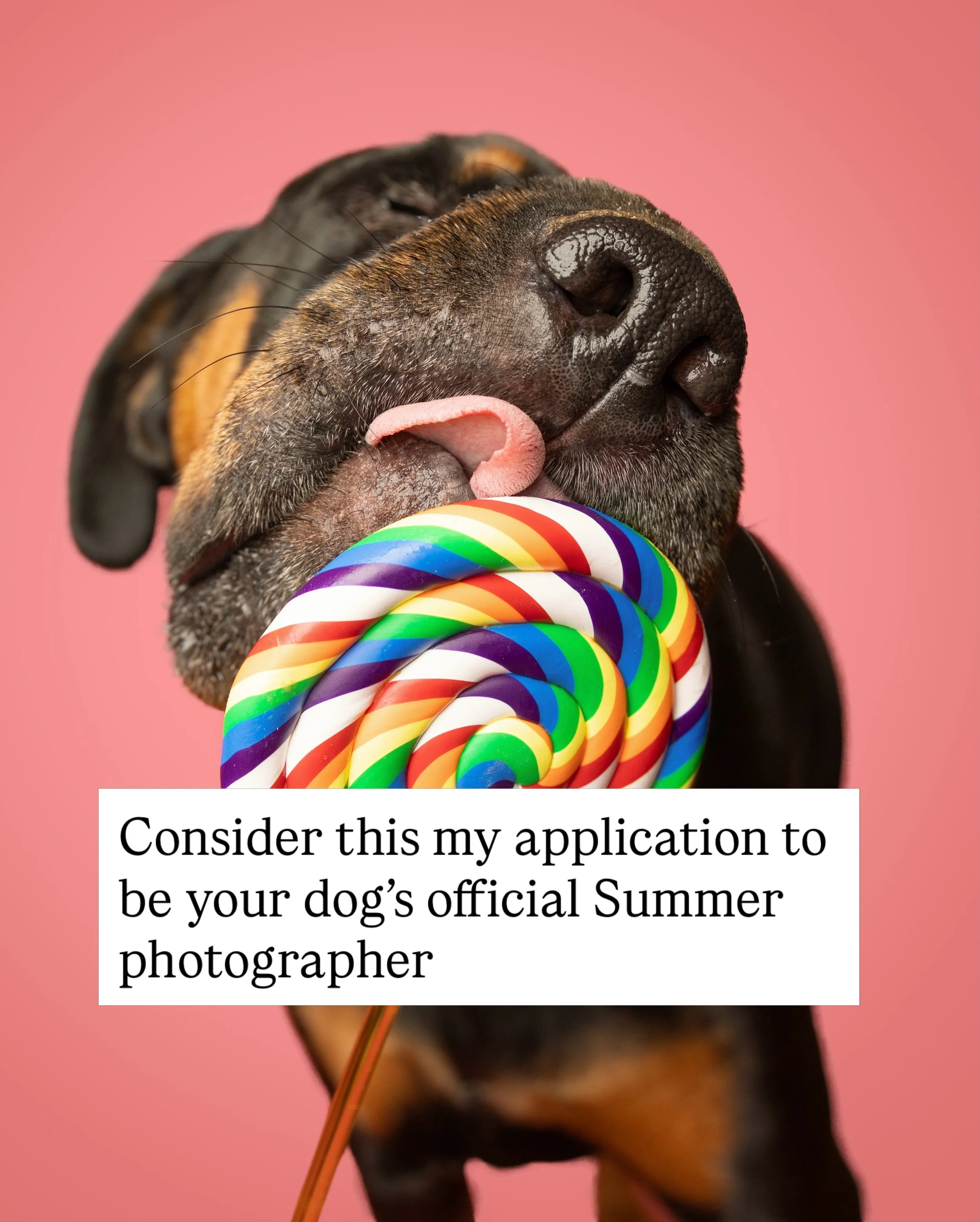 Booking is officially open for Dog Days Studio Sessions and I am so ready to meet your pets!

June 14. LightBox Studio in Clovis. 
A giant rainbow lollipop. 
Bubbles. 
Tennis balls.
And a photographer who will absolutely lose her mind over your dog ?