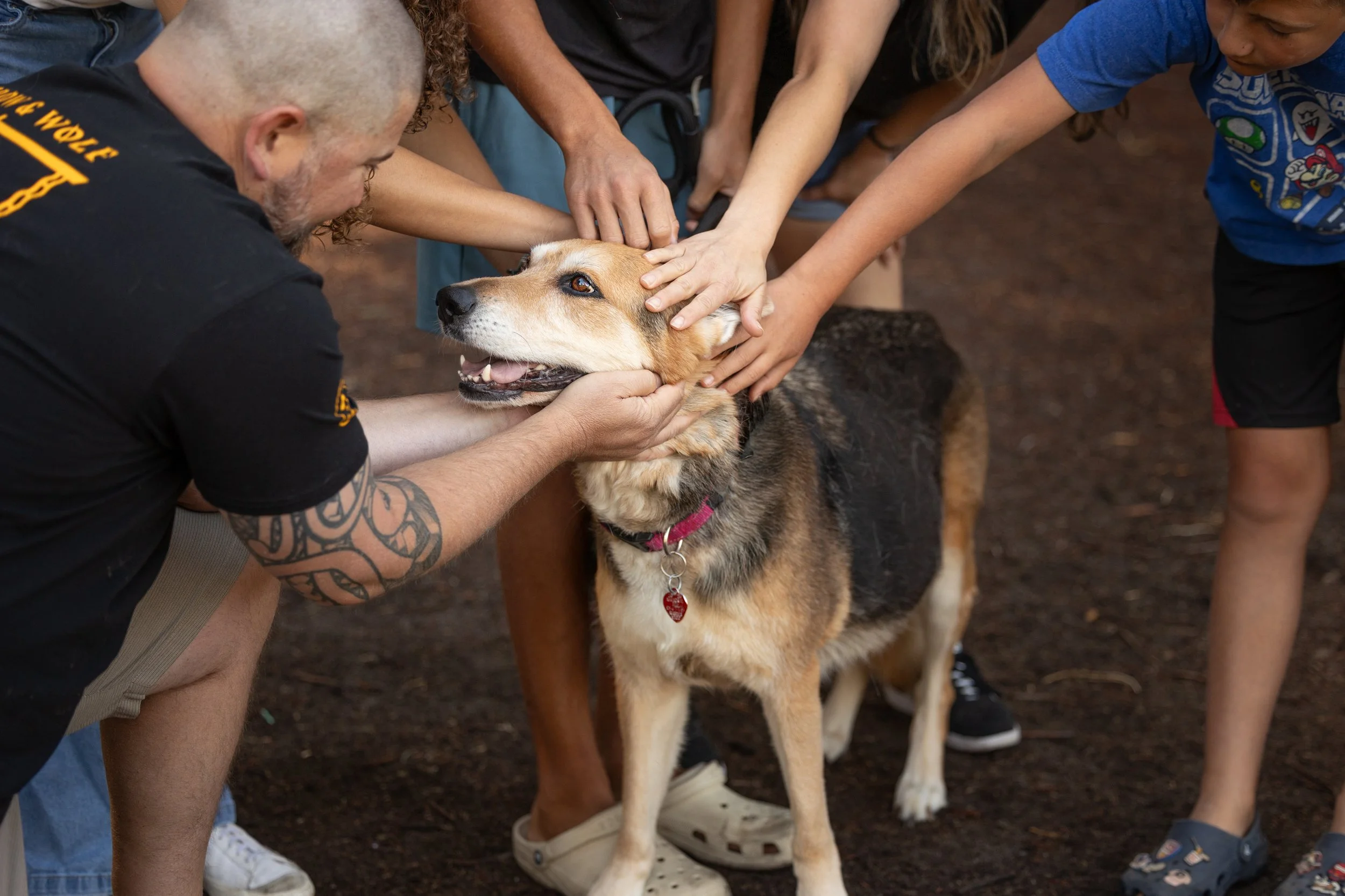A senior dog surrounded by family members placing their hand gently on her, during a heartfelt goodbye photography session in Clovis, CA