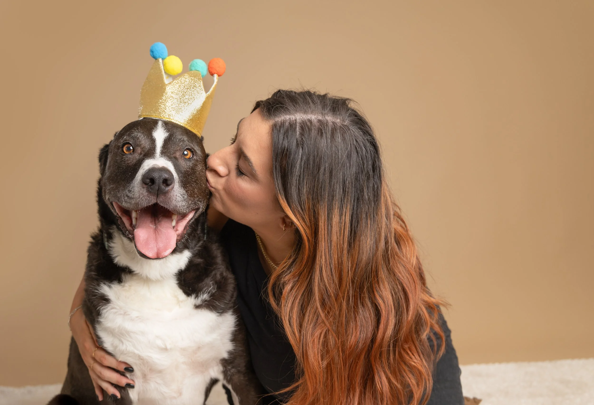 bully-breed-dog-birthday-crown.jpeg