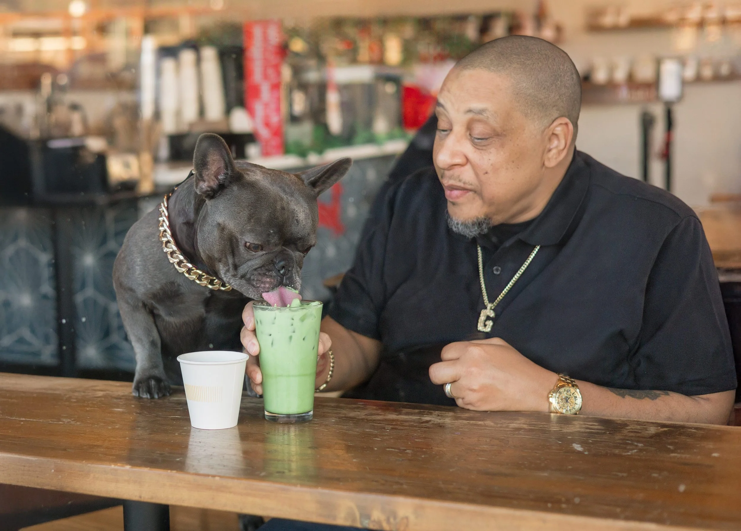 French-bulldog-fresno-matcha.jpeg