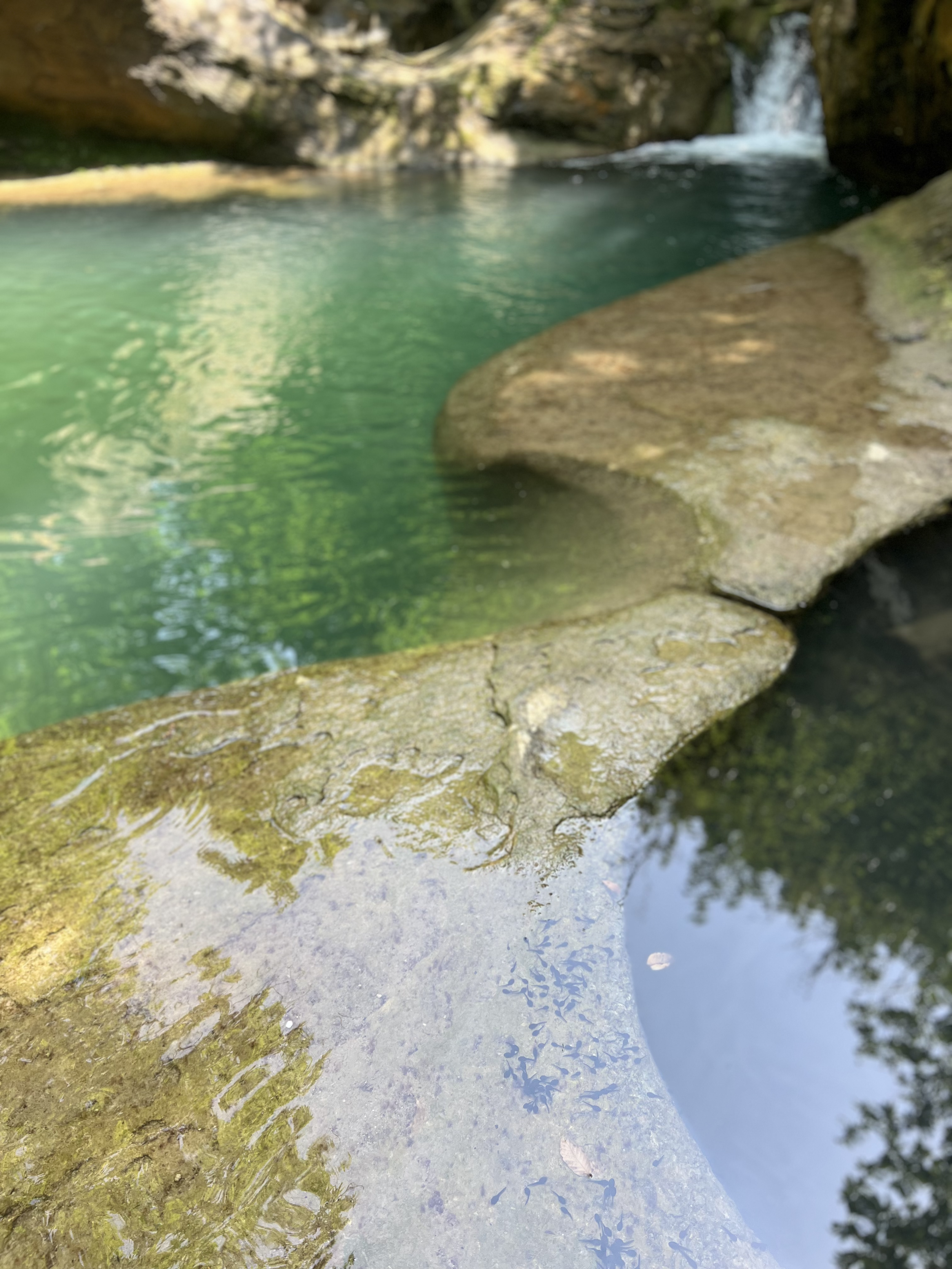 IMG_0697.png