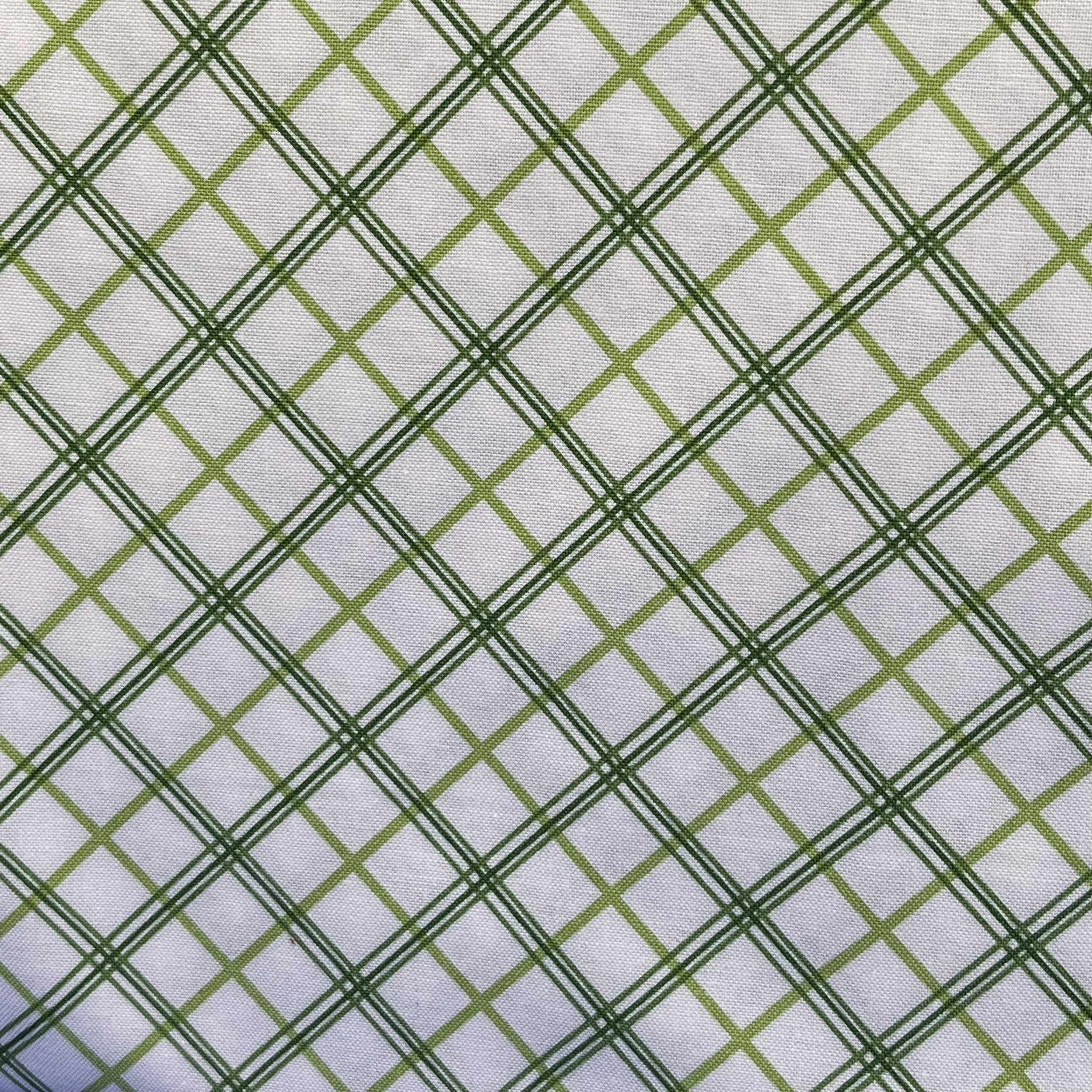 Kimberbell Refreshed Basic Fabric White Background two tone Green Diagonal Plaid