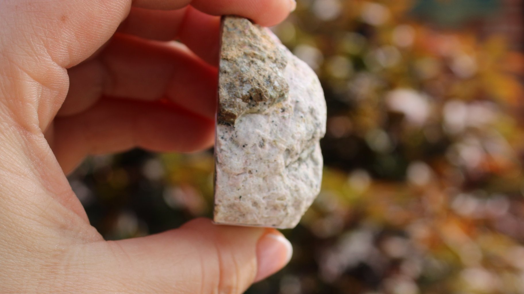 Product+Listing+Trancas+Geode+13A+Photo+3.jpg