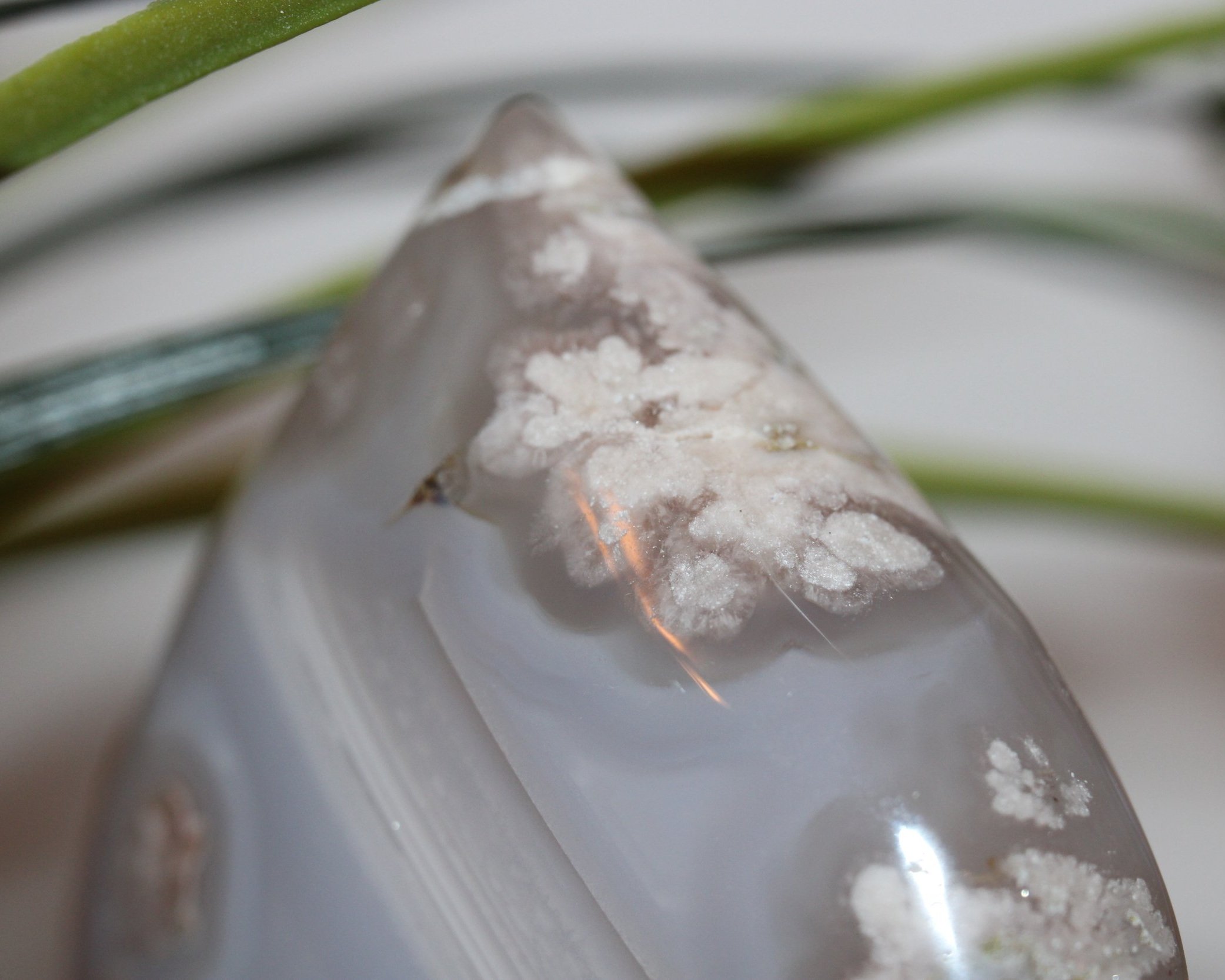 Product+Listings+Flower+Agate+Teardrop+2.5.24+%2849B%29+Photo+13.jpg
