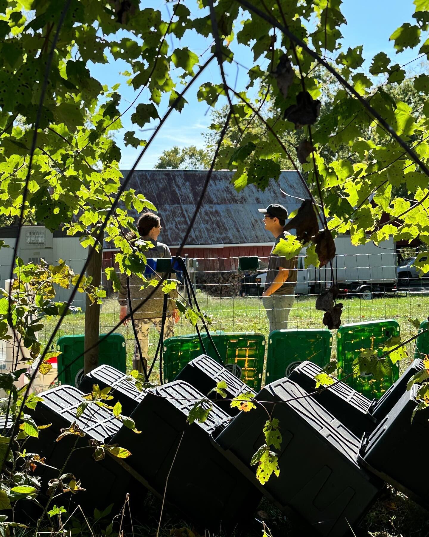 Drop-off tote-d up! Here&rsquo;s just a small look at our regular clean-up on the composting farm. We sure are missing those sunny summer days&hellip; ☀️🌿

Our food waste drop-off bins are available 24/7, so that you can get to composting whenever&m